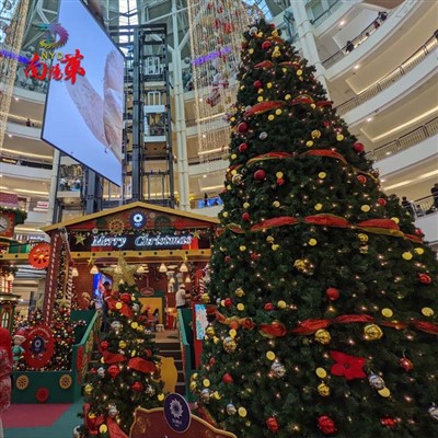 Životna torija božićna drveća